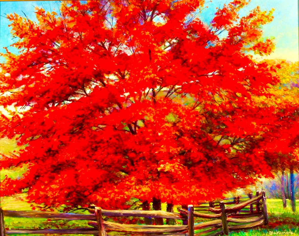 Fiery Hues In Blue Ridge, Ga.