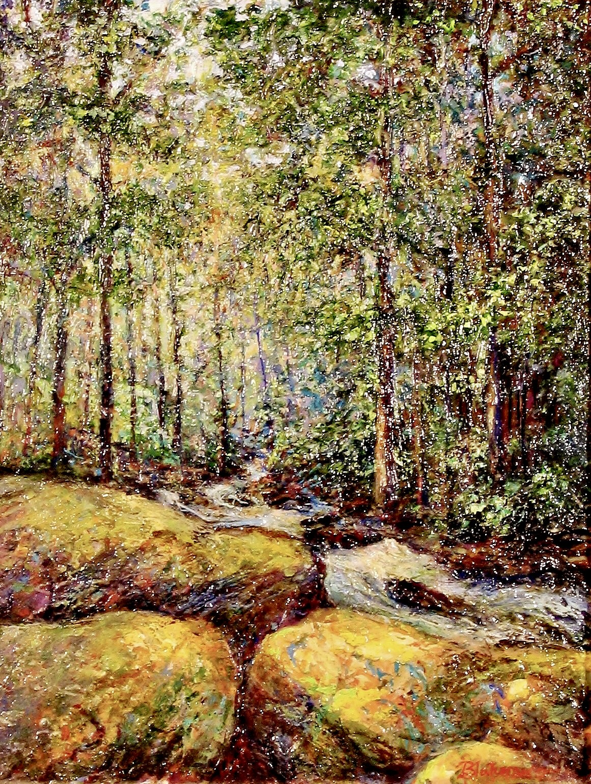 Amicalola Falls, The Woodlands